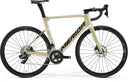 22 Merida REACTO RIVAL-EDITION - SILK CHAMPAGNE (BLACK) -