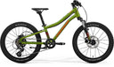 24 Merida J20 Disc - Fall Green