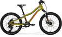 25 Merida J20 Disc - Fall Green