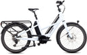 25 Cube Longtail Sports Hybrid 725 - White/Black