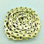 Odyssey Bluebird Chain Single 112L 1/2" x 1/8" Gold